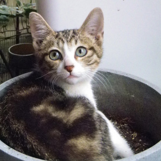 20111106a.jpg
