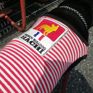 20120515.jpg